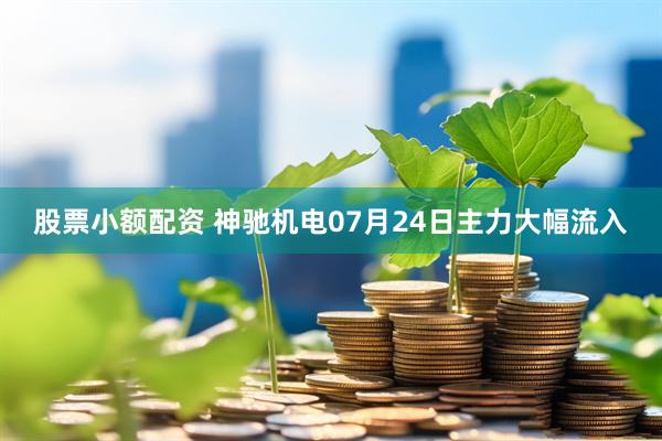 股票小额配资 神驰机电07月24日主力大幅流入